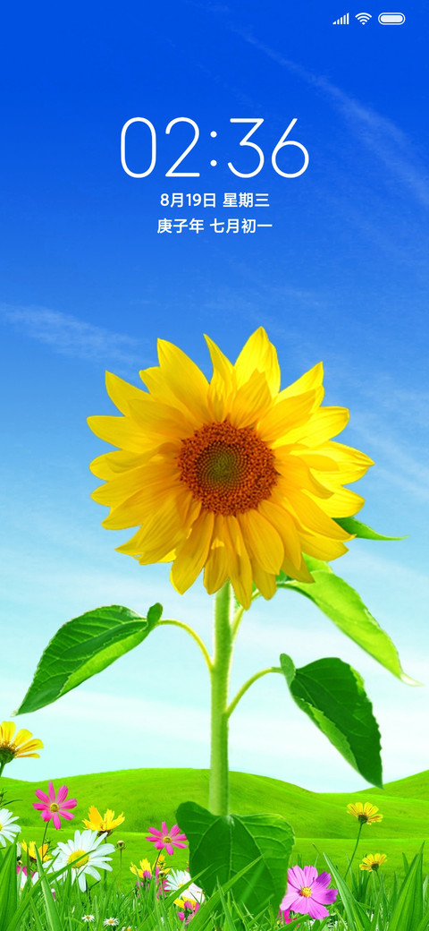 唯美太阳花miui Theme And Tutorial Mtzfile