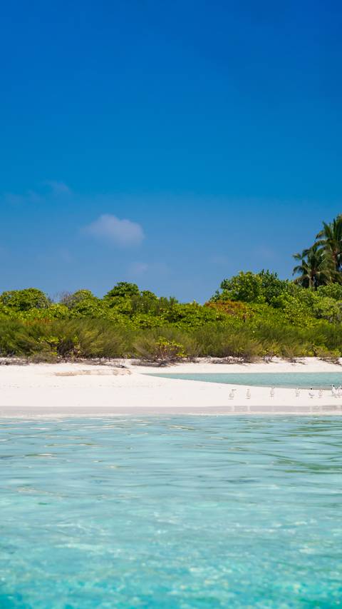 海天一色壁纸 锐景创意miui Wallpaper And Tutorial Mtzfile