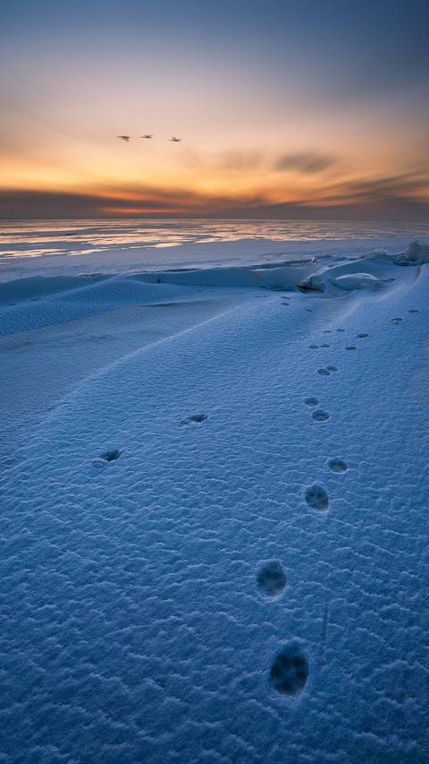 孤独旅人miui Wallpaper And Tutorial Mtzfile